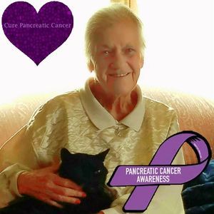 Meet your Posher, Terry